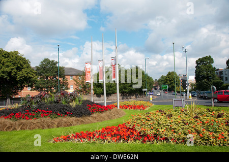 Fleurs de printemps sur un îlot dans le cadre de Nottingham en fleur, Nottinghamshire England UK Banque D'Images