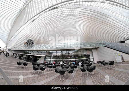Liège, Belgique. Gare centrale - Gare des Guillemins (2009 - Santiago Calatrava Valls) Banque D'Images