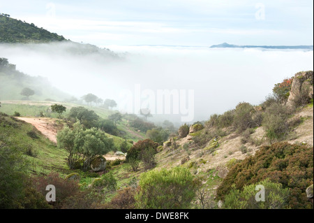 Paysage du Parc Naturel de la Sierra de Andujar Espagne Banque D'Images