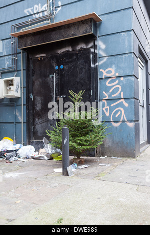 Arbre de Noël abandonnés Banque D'Images