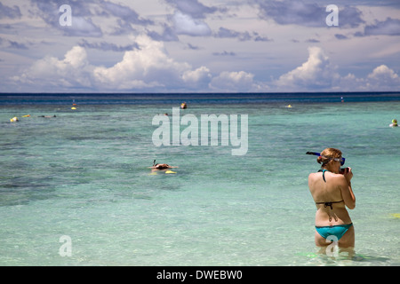 Plongée avec tuba dans le lagon de Marovo, Mateana Island, Îles Salomon, Pacifique Sud Banque D'Images