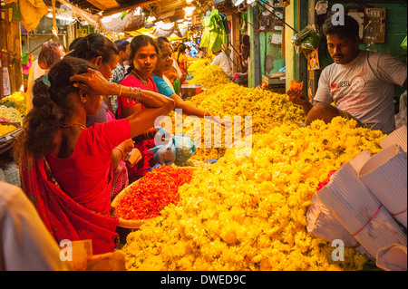 L'Inde Tamil Nadu Pondicherry Puducherry street market vendeur homme femme homme sari saris chrysanthèmes jaunes flore fleur fleurs Guirlandes stall Banque D'Images