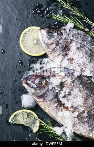 Vue de dessus en treuillé matières dorado poisson avec du romarin, de la chaux et de la glace sur fond noir en noir. Banque D'Images