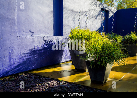 Les herbes plantés dans des conteneurs sur un patio de jardin contemporain Banque D'Images