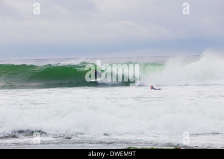 La Jolla, CA - 30 janvier 2014 : pas de surfer sur une grosse vague pendant une session de surf à la Jolla en Californie. Banque D'Images