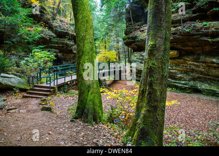 Une passerelle et Sentier à travers la forêt au cours de l'automne dans la pittoresque Old Man's Cave State Park de centre de l'Ohio, USA Banque D'Images