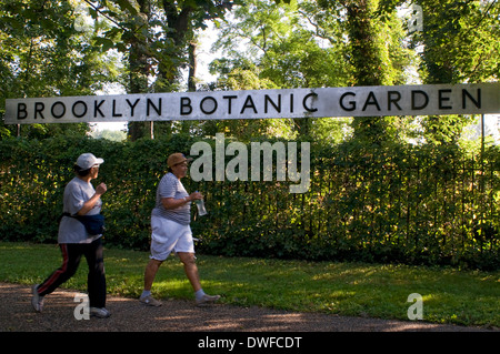 Jardin botanique de Brooklyn. 1000 Washington Avenue. M Prostect Park B-Q. Téléphone 718-623-7200. (Tue-Fri 8h-18h / samedi 10h-18h Banque D'Images