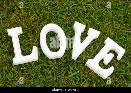 Love sign in grass Banque D'Images