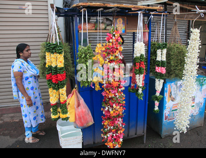 Sri Lanka, Colombo, Pettah, offres de fleurs, de décrochage Banque D'Images