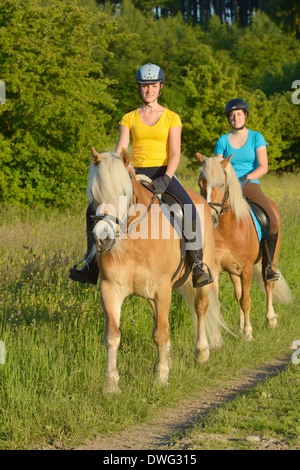 Deux rider sur dos de chevaux Haflinger équitation out Banque D'Images