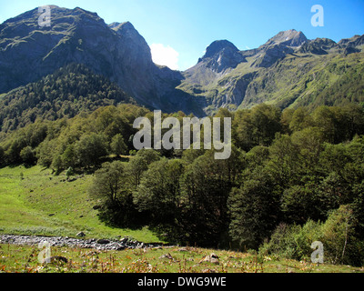 Paysage près du tunnel de Vielha, la route N 230, Escaldes-Engordany, Viella, Val d'Aran, vallée d'Aran, Pyrénées, province de Lleida. Banque D'Images