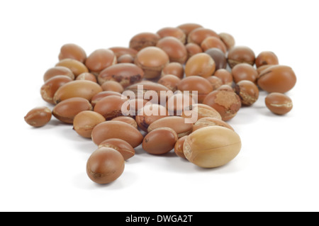 Grand groupe de noix d'argan sur fond blanc. L'abondance de l'espace de copie. Studio shot horizontale. Banque D'Images