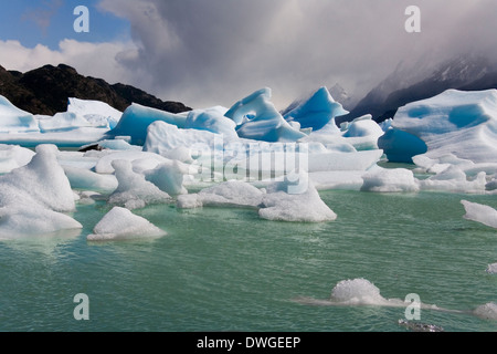 Les icebergs du Glacier Grey flottant dans Largo gris dans le Parc National Torres del Paine en Patagonie, dans le sud du Chili Banque D'Images