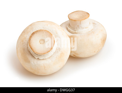 Champignon isolé Banque D'Images