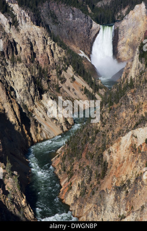 Lower Falls le long du Grand Canyon de la Yellowstone River, vue de Artist Point dans le Parc National de Yellowstone, Wyoming. Banque D'Images