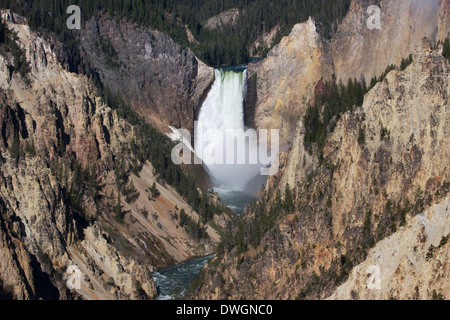 Lower Falls le long du Grand Canyon de la Yellowstone River, vue de Artist Point dans le Parc National de Yellowstone, Wyoming. Banque D'Images