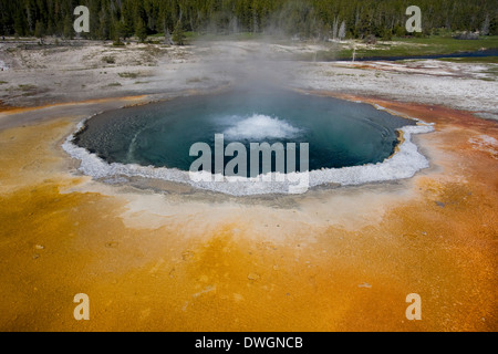 Piscine chromatique dans la région de geyser Basin, Parc National de Yellowstone, Wyoming. Banque D'Images