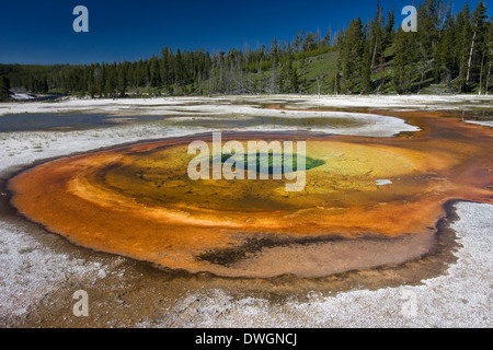 Piscine chromatique dans la région de geyser Basin, Parc National de Yellowstone, Wyoming. Banque D'Images