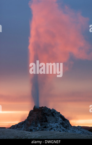 White Dome Geyser éclate au coucher du soleil le long du lac Firehole dur à Lower Geyser Basin, Parc National de Yellowstone, Wyoming. Banque D'Images