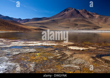 La Laguna Miscanti et Miniques haut volcan sur l'altiplano de la Cordillère des Andes dans le désert d'Atacama au nord du Chili Banque D'Images