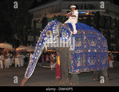 Sri Lanka, Colombo, Navam Perahera, festival, l'éléphant, Banque D'Images