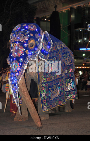 Sri Lanka, Colombo, Navam Perahera, festival, l'éléphant, Banque D'Images