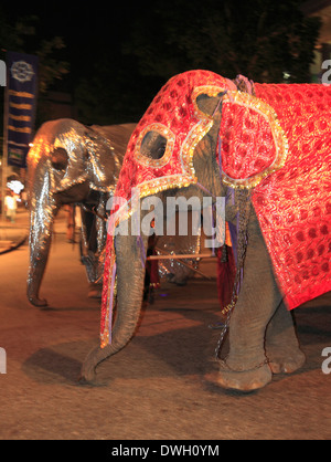 Sri Lanka, Colombo, Navam Perahera, festival, éléphants, Banque D'Images