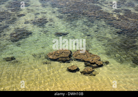 Bleu vert clair comme de l'eau de l'Océan Indien ondulations avec des pierres à Galle Sri Lanka Banque D'Images
