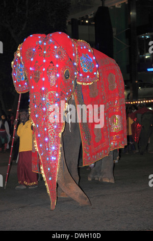 Sri Lanka, Colombo, Navam Perahera, festival, l'éléphant, Banque D'Images