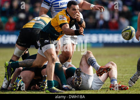 Northampton, Royaume-Uni. 05Th Mar, 2014. Kahn FOTUALI'I de Northampton Saints tourne une passe au cours de la LV = Cup demi-finale entre les Tonga et les Sarrasins à Franklin's Gardens. Score final : Northampton Saints 26-7 Saracens. Credit : Action Plus Sport/Alamy Live News Banque D'Images