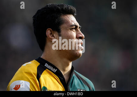 Northampton, Royaume-Uni. 05Th Mar, 2014. Tour du chapeau de son meilleur marqueur d'George PISI de Northampton Saints au cours de la LV = Cup demi-finale entre les Tonga et les Sarrasins à Franklin's Gardens. Score final : Northampton Saints 26-7 Saracens. Credit : Action Plus Sport/Alamy Live News Banque D'Images