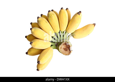 Bananes cultivées mûrs isolé sur fond blanc. Banque D'Images