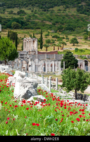 Bibliothèque de Celsus, Ephèse Banque D'Images