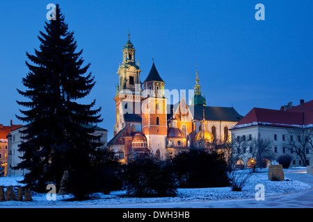 La Cathédrale sur la colline de Wawel Royal dans le parc de château de Wawel à Cracovie en Pologne Banque D'Images