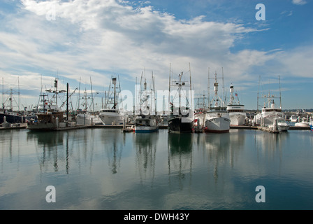 Bateaux de pêche commerciale à G Street Pier San Diego Californie Banque D'Images