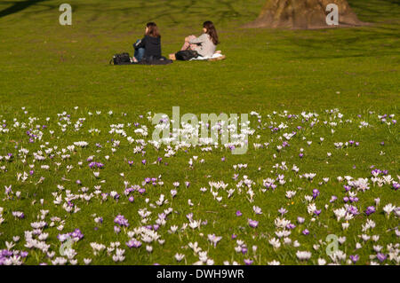 St James' Park, Londres, UK. 8 mars 2014. Deux jeunes filles se détendre dans le parc comme printemps marque son arrivée, avec du soleil, des températures de 15C et la floraison des crocus. Crédit : Stephen Chung/Alamy Live News Banque D'Images