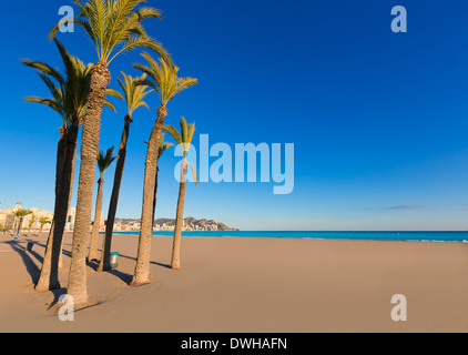 Benidorm Alicante Playa de Poniente Beach en Espagne Communauté Valencienne Banque D'Images