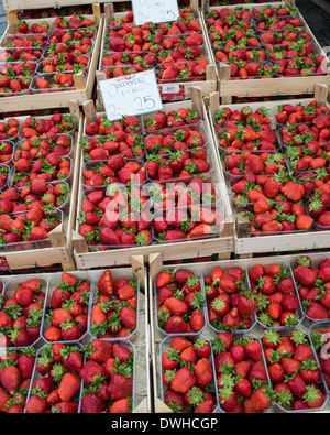 Boîtes de fraises en vente sur le marché, Copenhague Banque D'Images