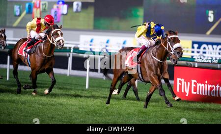 Dubaï, Émirats arabes unis. 8 mars, 2014. Christophe Soumillon rode Vercingétorix à la victoire en course 8, le Jebel Hatta pour propriétaire Sheikh Mohammed Bin Khalifa Al Maktoum Crédit : Tom Morgan/Alamy Live News Banque D'Images