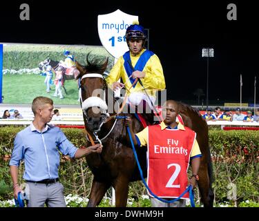 Dubaï, Émirats arabes unis. 8 mars, 2014. Christophe Soumillon et Vercingétorix dans les gagnants boîtier après sa victoire en course 8, le Jebel Hatta pour propriétaire Sheikh Mohammed Bin Khalifa Al Maktoum Crédit : Tom Morgan/Alamy Live News Banque D'Images