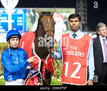 Dubaï, Émirats arabes unis. 8 mars, 2014. Mickael Barzalona Shuruq et après avoir remporté la course 5 le Burj Nahaar durant le Super samedi à l'Hippodrome de Meydan Crédit : Tom Morgan/Alamy Live News Banque D'Images