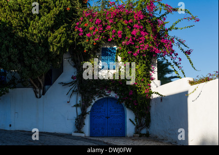 L'Afrique du Nord, Tunisie, Sidi Bou Said. Maisons Blanches traditionnelles typiques de bougainvillées. Banque D'Images