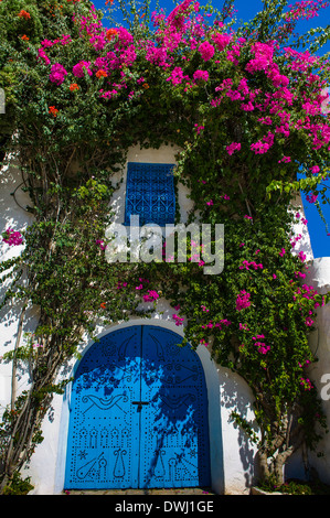 L'Afrique du Nord, Tunisie, Sidi Bou Said. Maisons Blanches traditionnelles typiques de bougainvillées. Banque D'Images