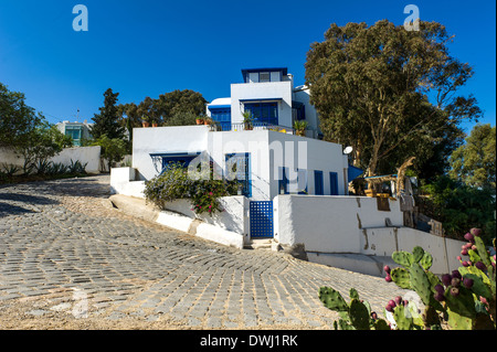 L'Afrique du Nord, Tunisie, Sidi Bou Said. Maisons Blanches traditionnelles typiques de la médina. Banque D'Images