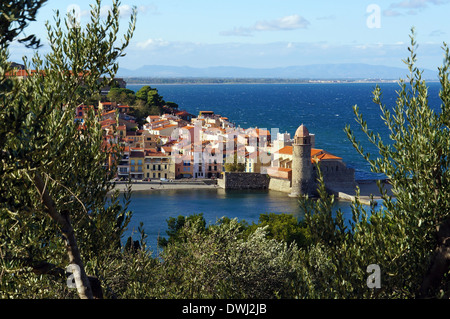 Beau village de Collioure, sur la côte de la mer Méditerranée dans le sud de la France, Roussillon, Pyrénées Orientales Banque D'Images