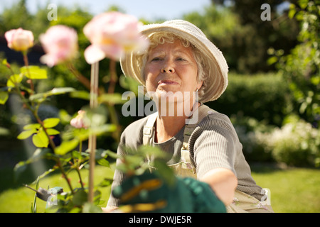 Personnes âgées woman wearing sun hat looking at flowers in backyard garden - Plein Air Banque D'Images