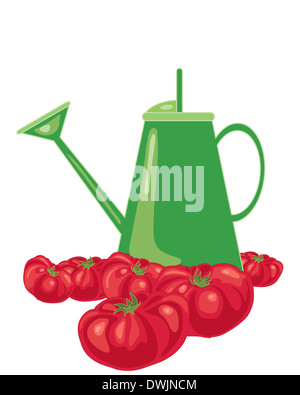 Une illustration d'un arrosoir vert vif entourée de tomates rouges juteux mûrs sur un fond blanc Banque D'Images