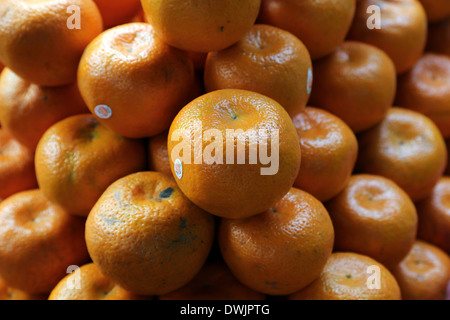 Asian farmer's vente de fruits frais, Kolkata, Inde Banque D'Images