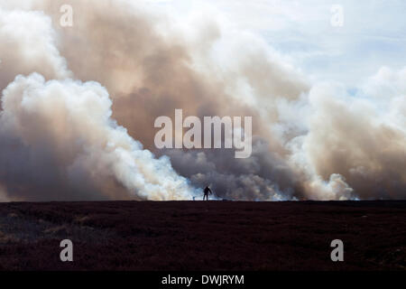 10 Mars 2014 North Pennines County Durham UK. Garde-chasse contrôlée à l'aide de gravure de bruyère dans le cadre de la gestion de la grouse Moor. Chaque année avant la saison de nidification commence les articles de Heather sont brûlées pour encourager les nouvelles pousses à se développer qui sont nourris par le lagopède des saules Lagopus lagopus). Banque D'Images