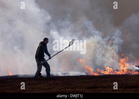 10 Mars 2014 North Pennines, comté de Durham au Royaume-Uni. Garde-chasse contrôlée à l'aide de gravure de bruyère dans le cadre de la gestion de la grouse Moor. Chaque année avant la saison de nidification commence les articles de Heather sont brûlées pour encourager les nouvelles pousses à se développer qui sont nourris par le lagopède des saules Lagopus lagopus). Banque D'Images